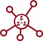 Peer learning network